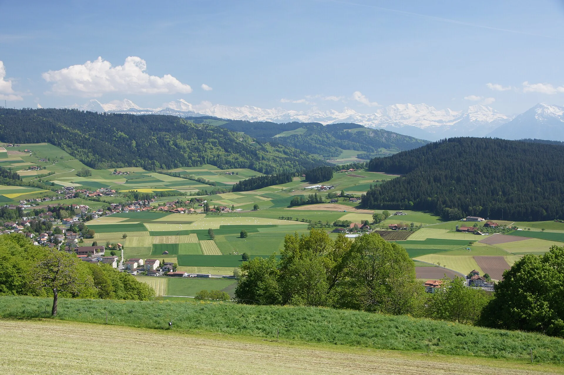 Konolfingen - Landschaft bei Ballenbüel, Konolfingen, Kanton Bern, Schweiz